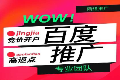 百度推广的五大成功案例分享